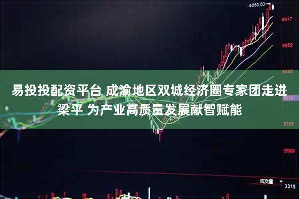 易投投配资平台 成渝地区双城经济圈专家团走进梁平 为产业高质量发展献智赋能