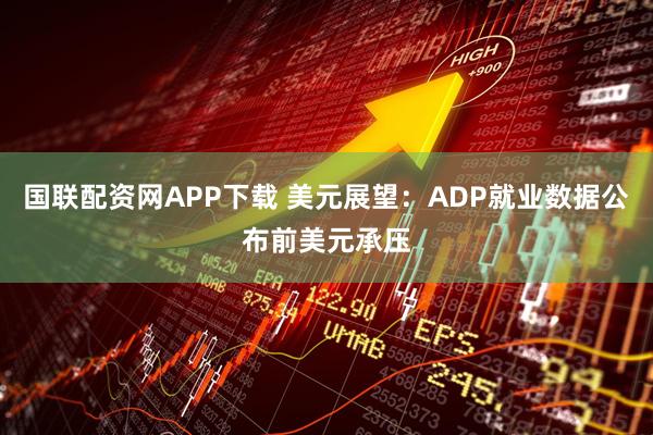 国联配资网APP下载 美元展望：ADP就业数据公布前美元承压