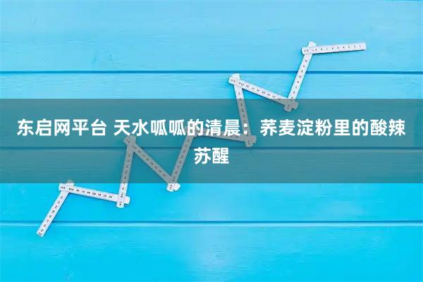 东启网平台 天水呱呱的清晨：荞麦淀粉里的酸辣苏醒