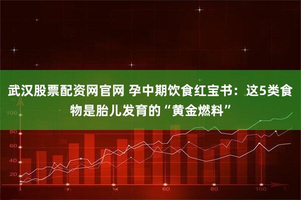 武汉股票配资网官网 孕中期饮食红宝书：这5类食物是胎儿发育的“黄金燃料”