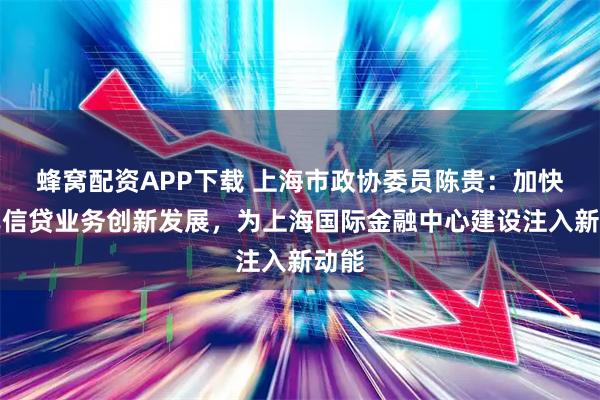 蜂窝配资APP下载 上海市政协委员陈贵：加快离岸信贷业务创新发展，为上海国际金融中心建设注入新动能